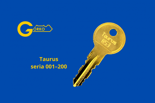 Dorabianie kluczy do bagażników, relingów i platform na hak do przewozu rowerów Taurus seria 001–200